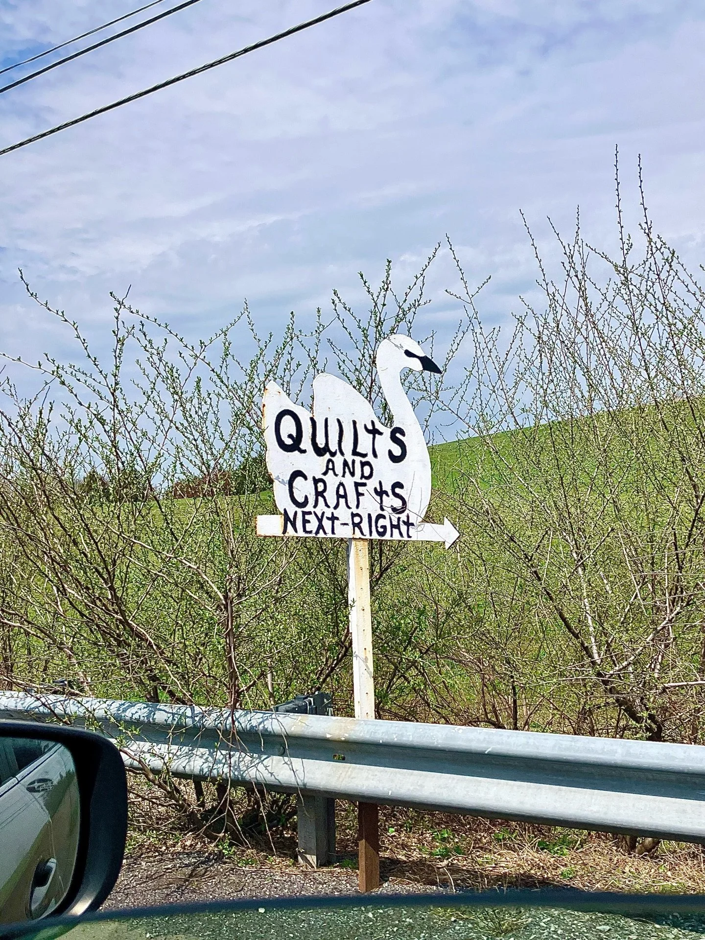 passenger princessing in pennsylvania easter weekend ✌️🦢🌸🌳📸

#pennsylvania #easterweekend #passengerprincess #joyspotting #passengerseatphotography