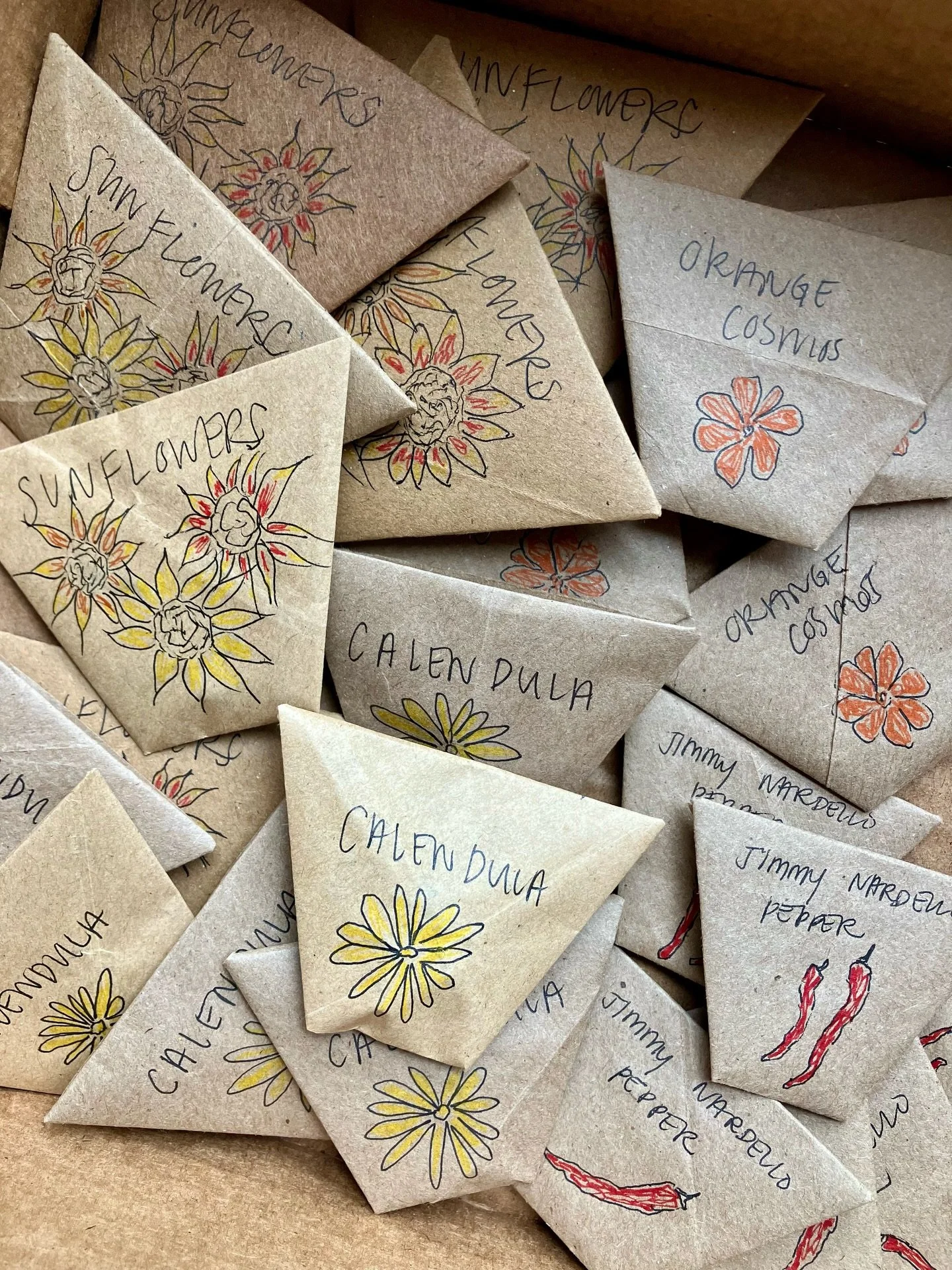 sunshine on a cloudy day today at @thelilliehouse&rsquo;s third annual plant swap 🌧️🌷👩🏻&zwj;🌾🌼🌱

shared some seeds I had saved from my own garden last year as well as some irises I dug up yesterday. the calendula seeds are descendants of @long