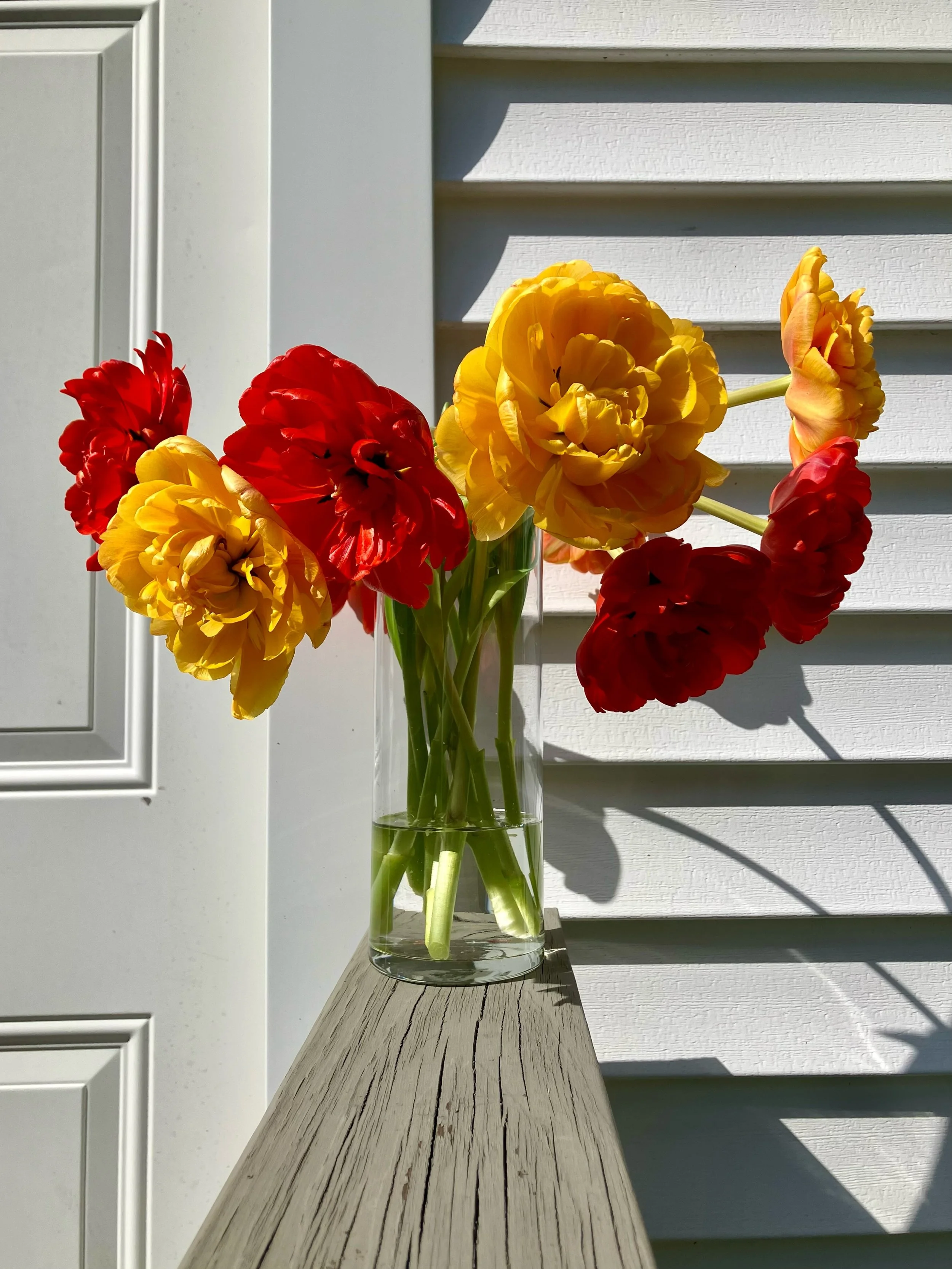 the most stunning double petal tulips from @wildroseflowerco brightened up my week 😍🌷❤️💛 and some photos from her first ever plant &amp; seed swap last weekend at high view farm 🌱 the stand is open today if you&rsquo;re in the area! 💐

PS: goats