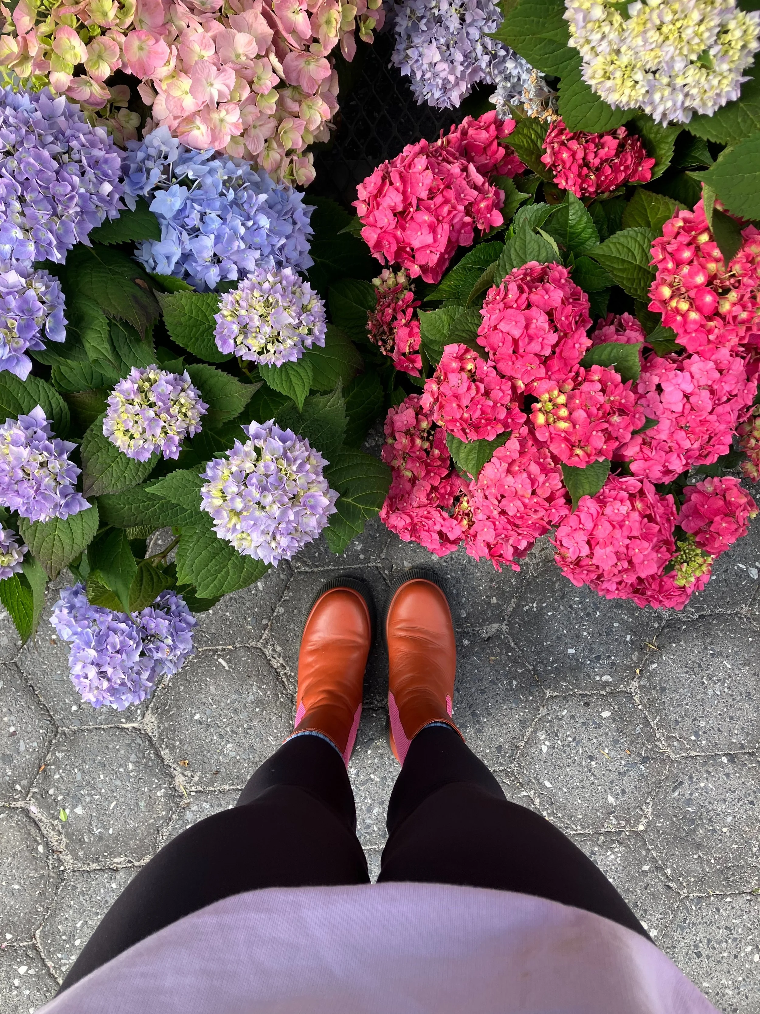 union square farmer&rsquo;s market - forever &amp; always one of my favorite places to watch the seasons change 🥹 late spring / early summer is so sweet 🍓🌸 @grownycgreenmarket 

#unionsquaregreenmarket #unionsquarenyc #farmersmarket #strawberrysea
