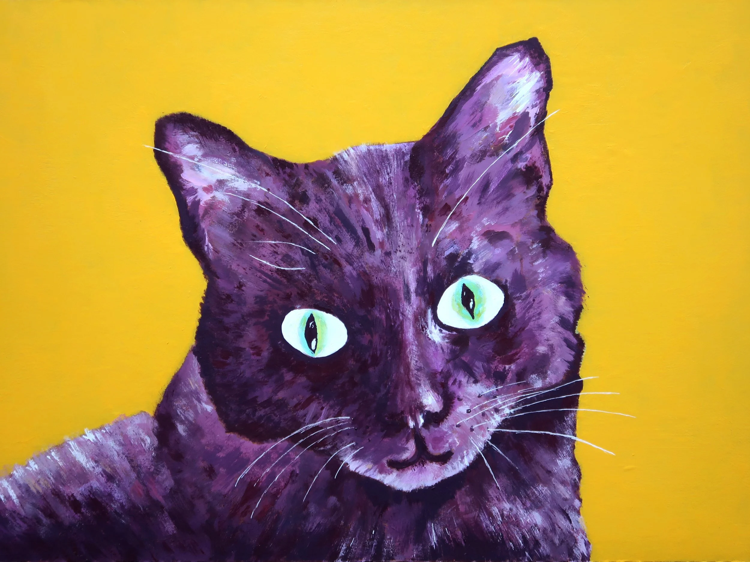 amy_chen_design_pet_portrait_painted_yzma_IMG_5792.jpg