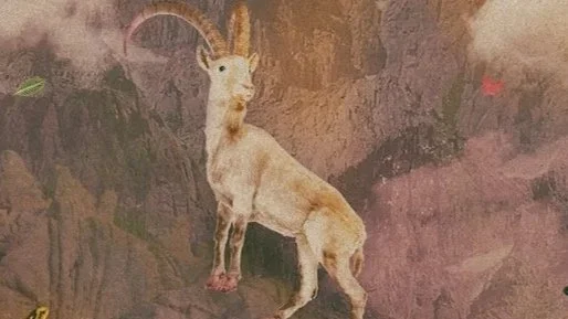 Alma Rei- Solid Ground -capa v2 300dpi.jpg