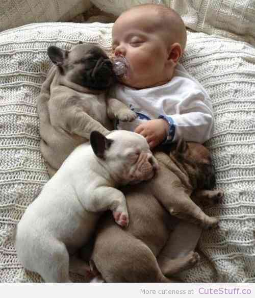 puppies_cuddling_baby.jpg