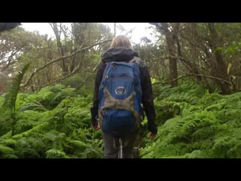 The Nature Conservancy