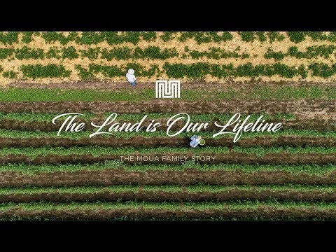 The Land Is Our Lifeline - The Moua Family Story