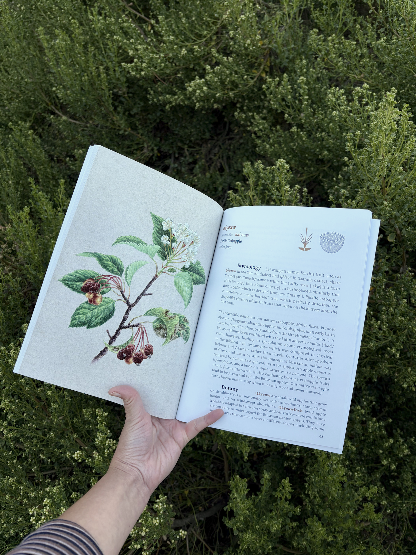 kwiaht_book_web2.png