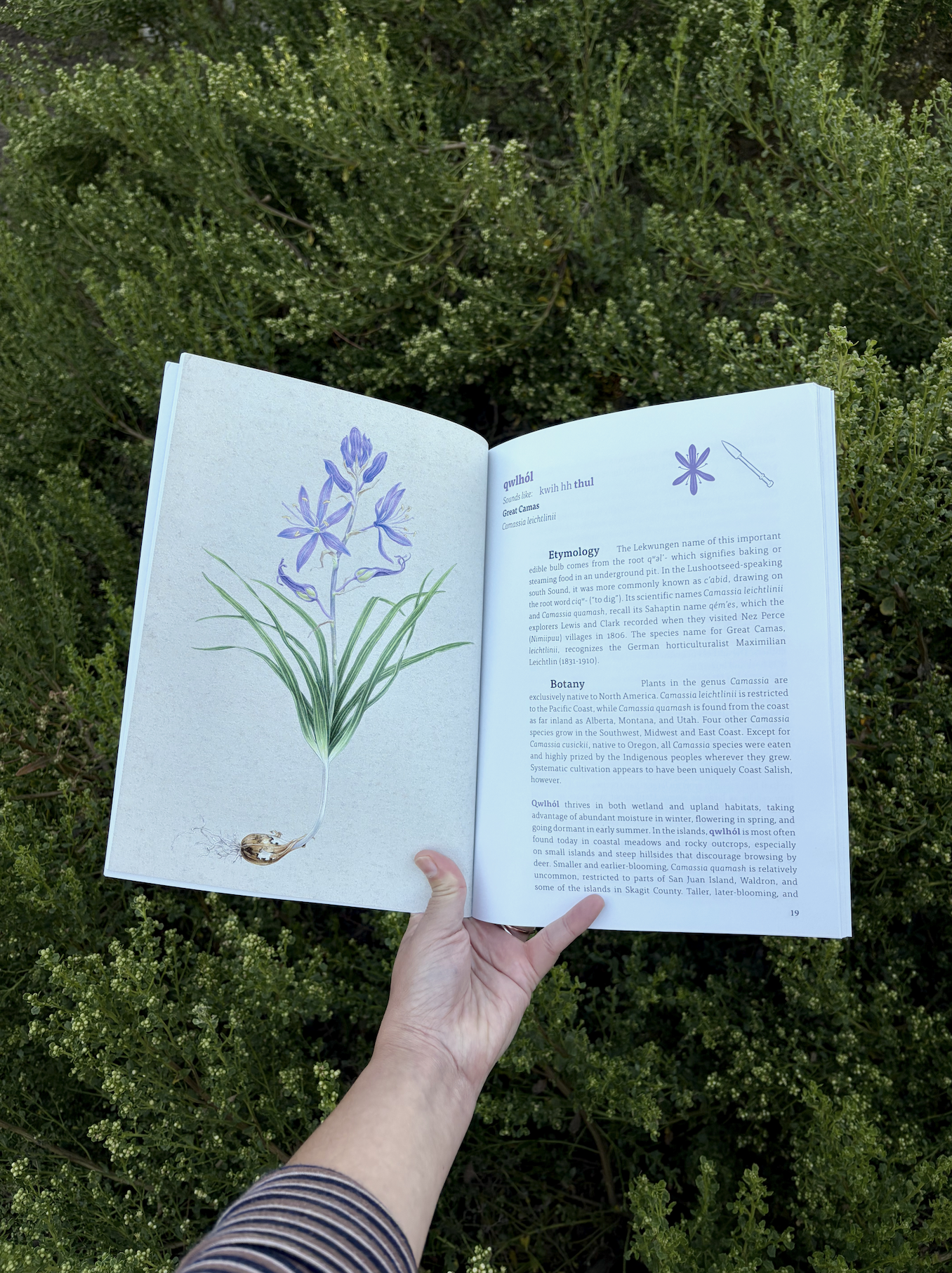 kwiaht_book_web3.png
