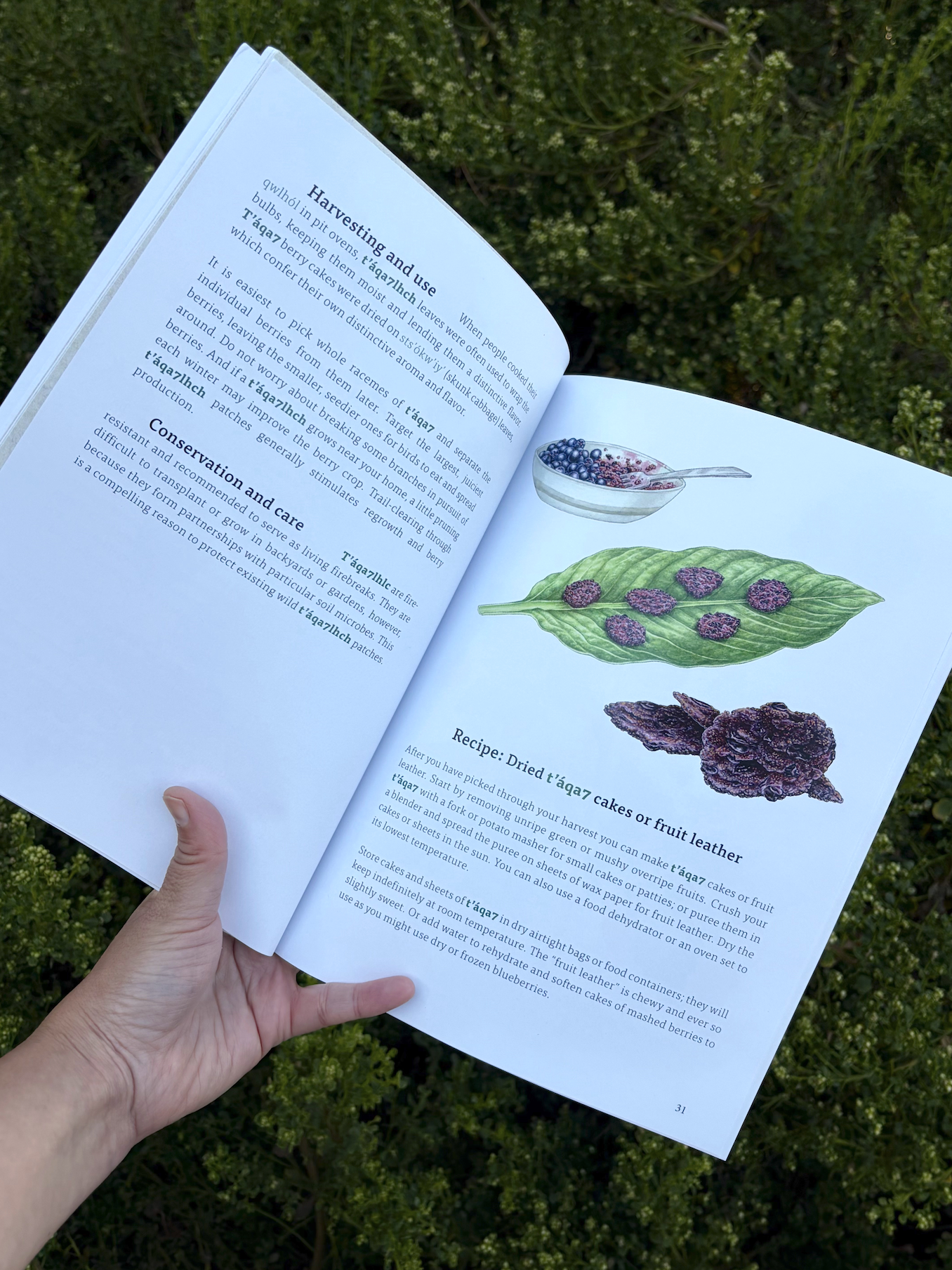 kwiaht_book_web4.png
