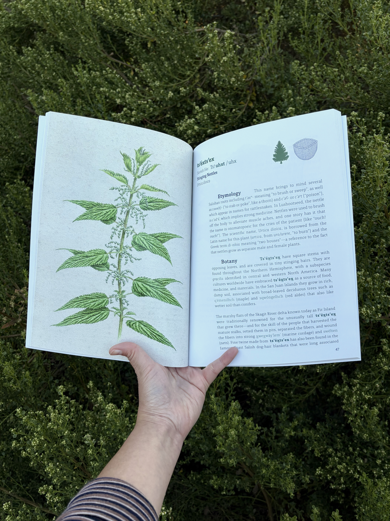 kwiaht_book_web6.png
