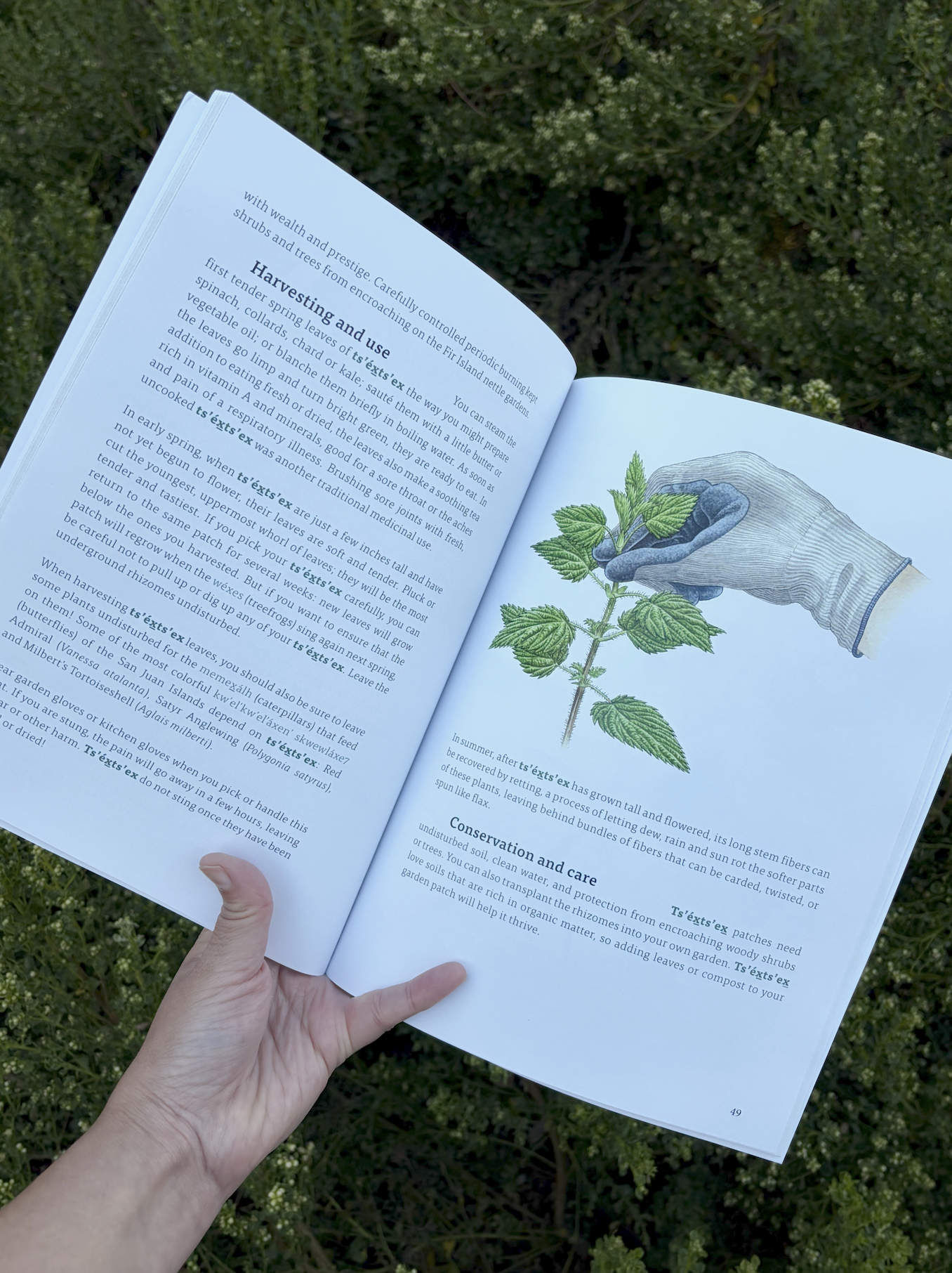 kwiaht_book_web7.png
