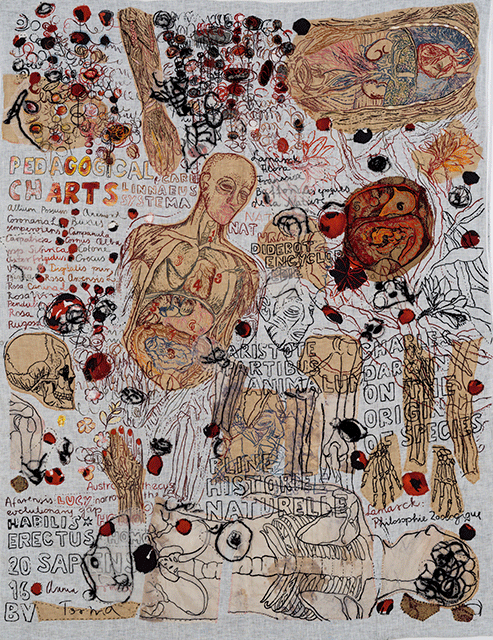 Anna Torma «Pedagogical Charts #1» (2016) technique mixte sur soie (180cm x 135cm)