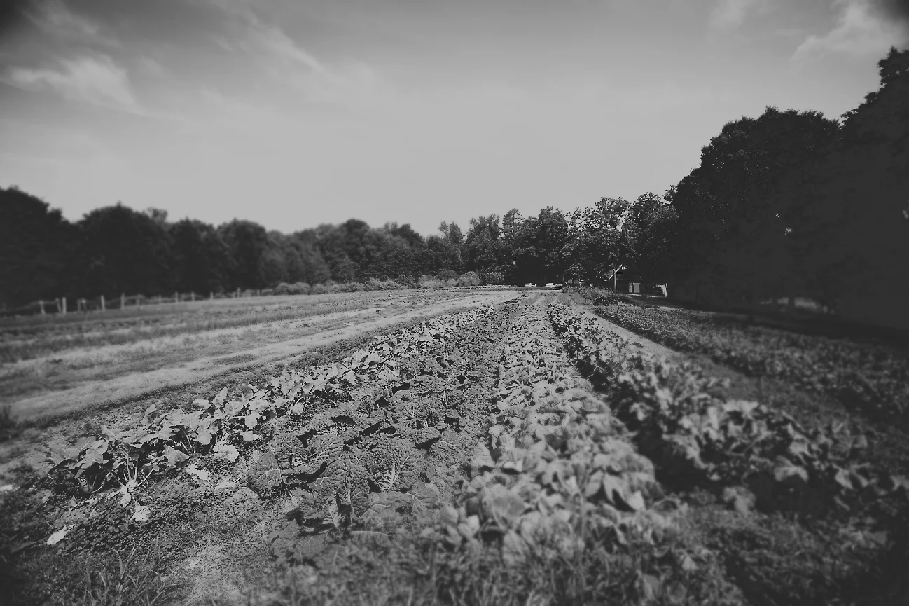 042712a_033b.jpg