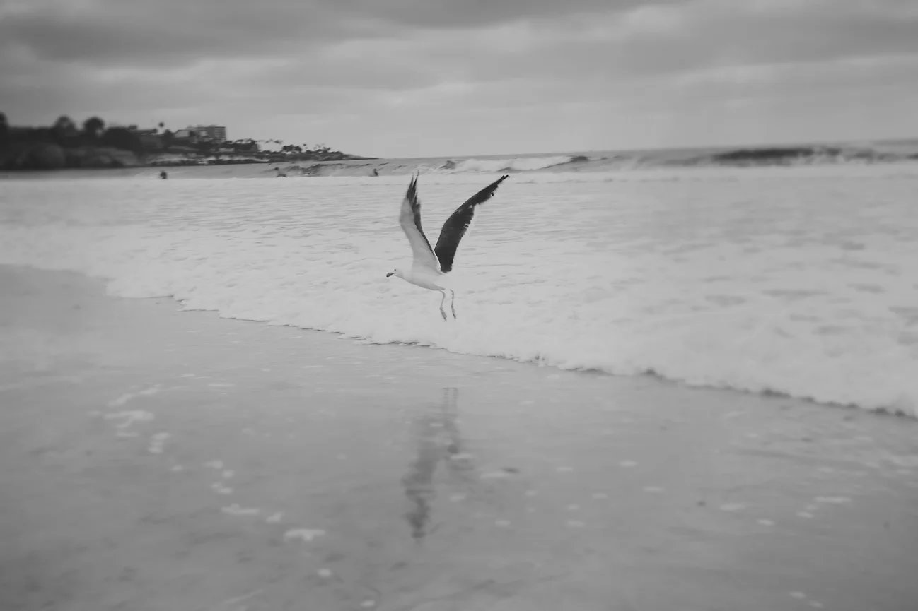 061012_096.jpg