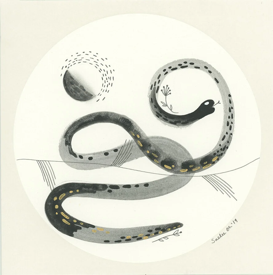 Half Moon Snake - graphite, gouache, gold acrylic paint, 6 x 6 inches in 9 x 9 inches frame, 2019 - private collection