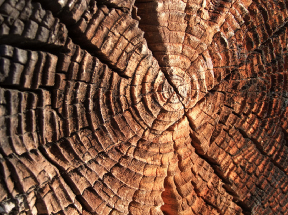 Sustainability Through Product Lifecycle