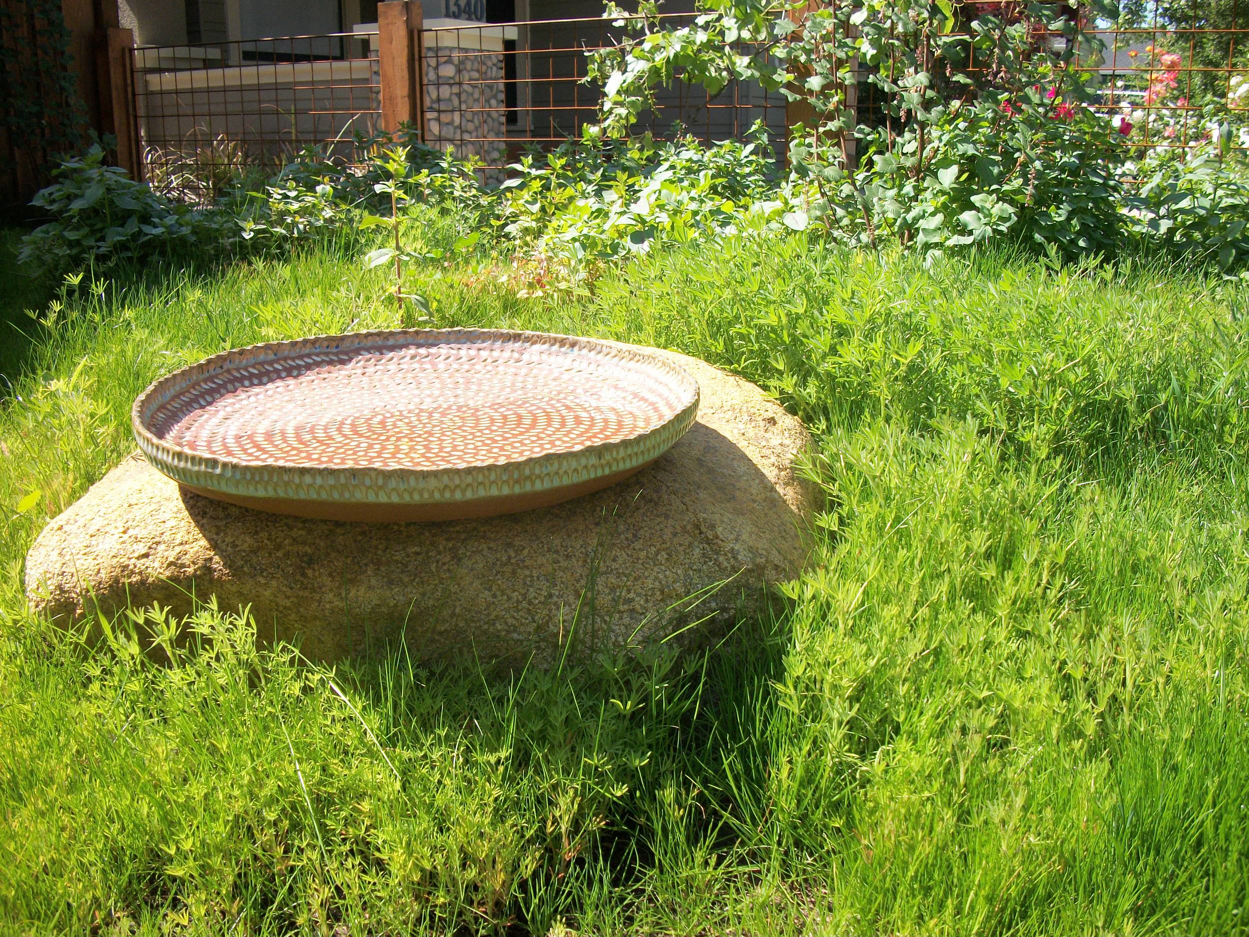 Birdbath in Meadow
