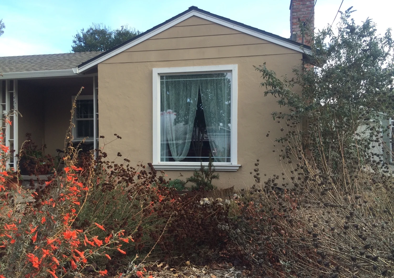 Fall Color In The Native Garden