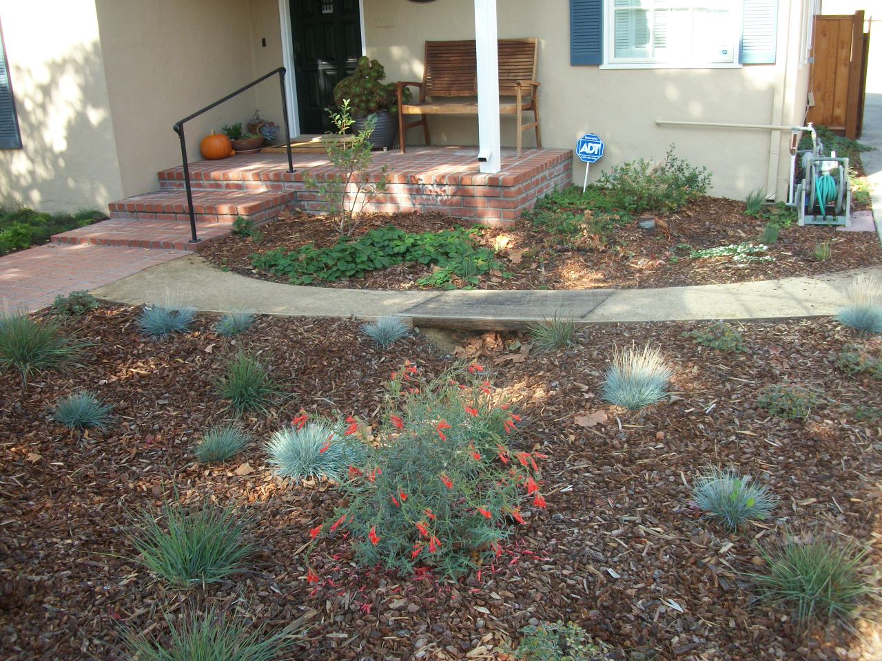 Meadow swale connected to downspouts