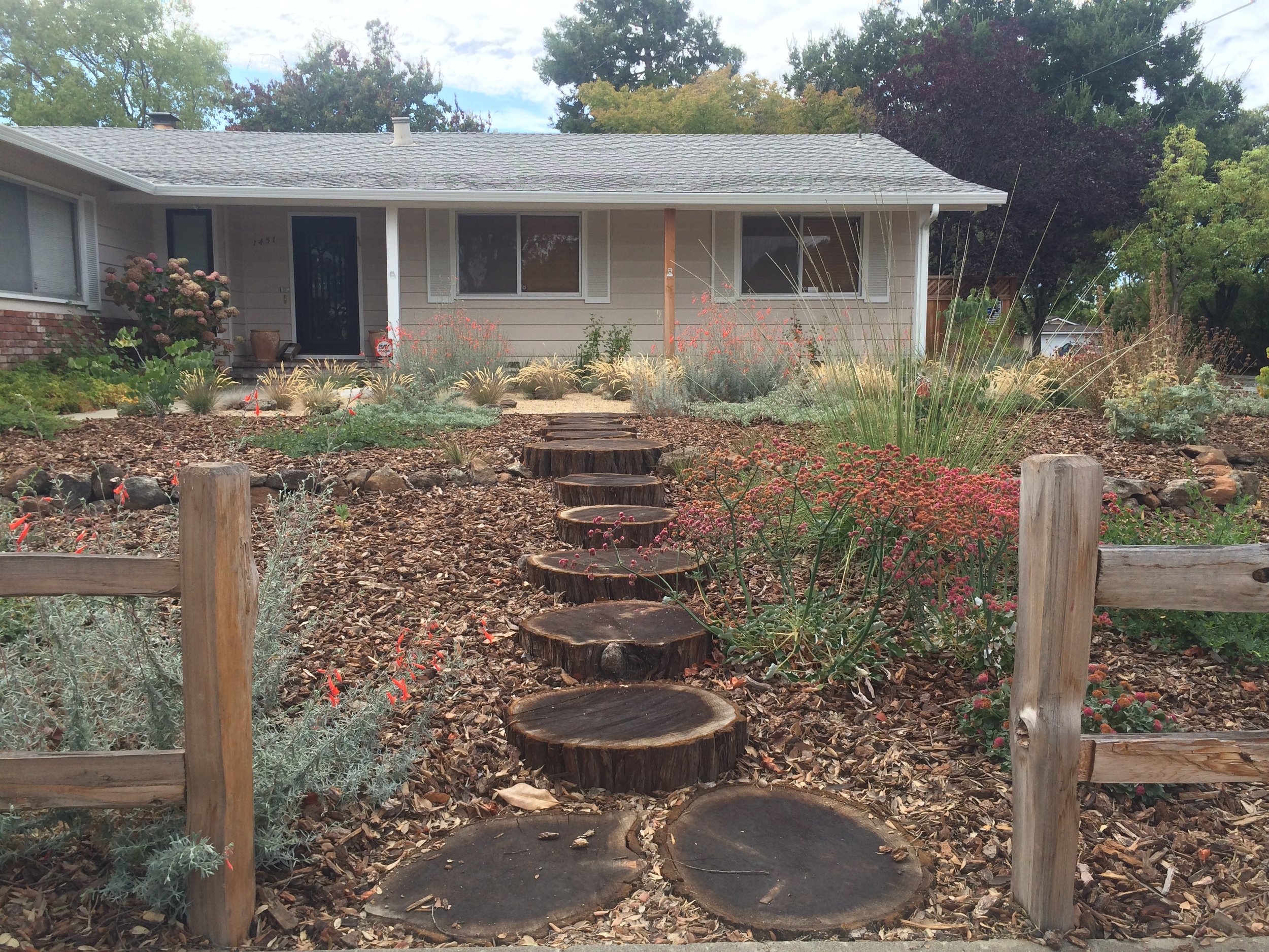 Redwood round entry