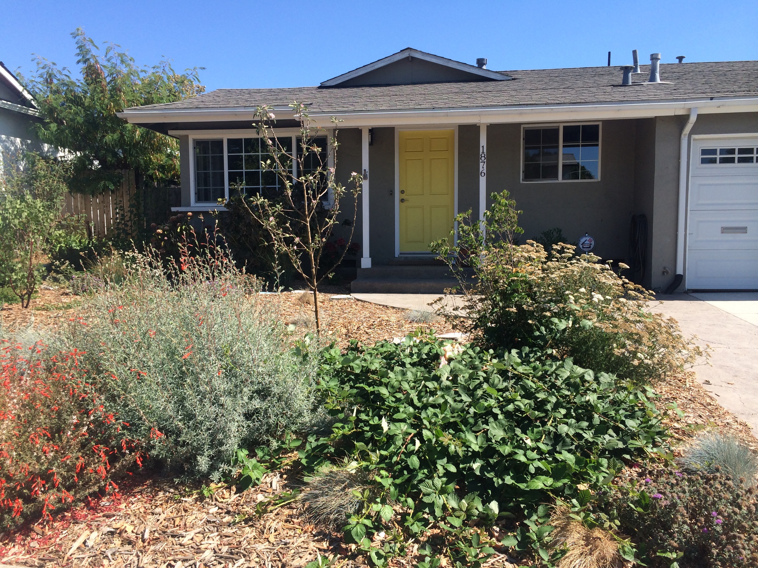 Laundry to Landscape Greywater