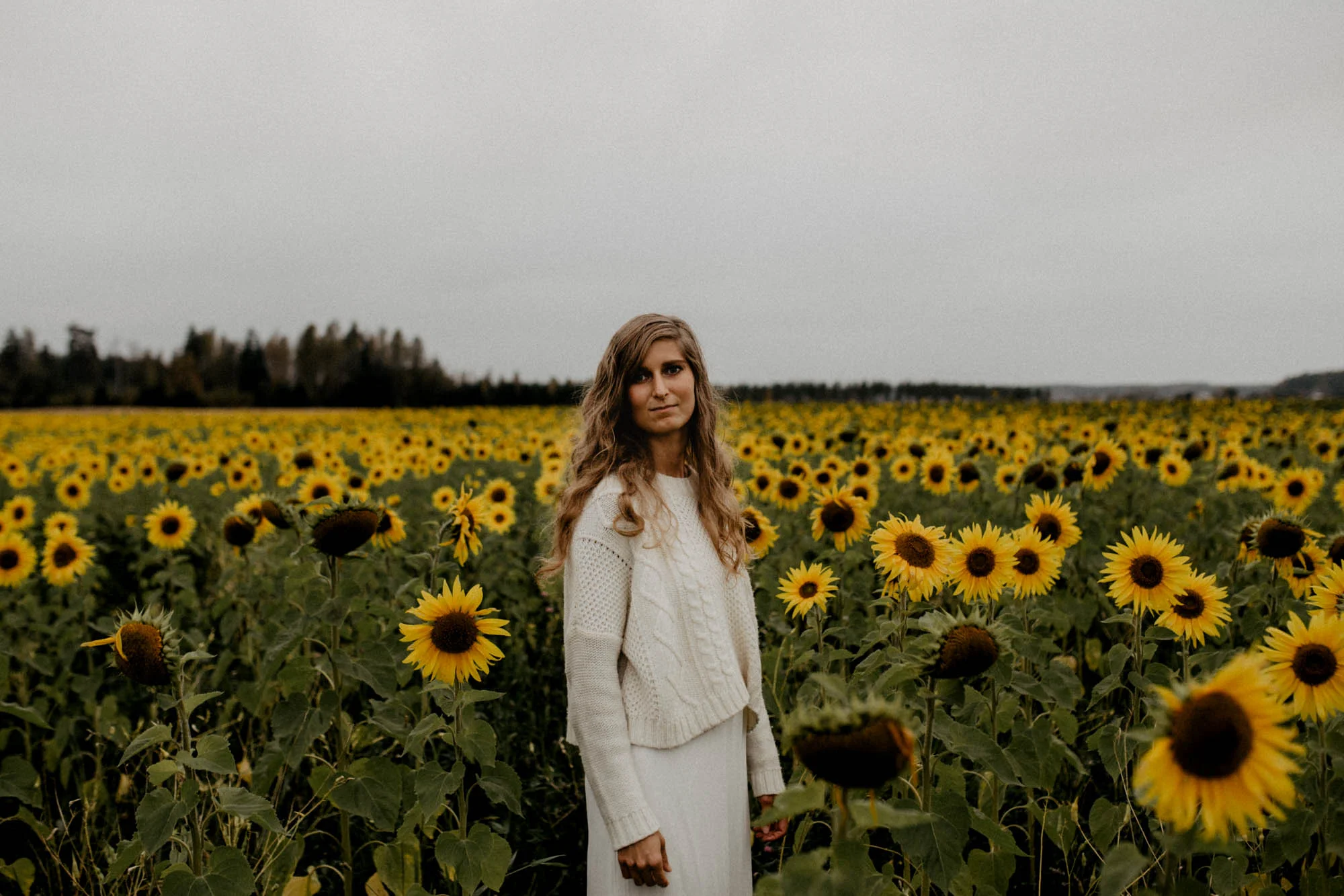 Sunflower Field Photo Session