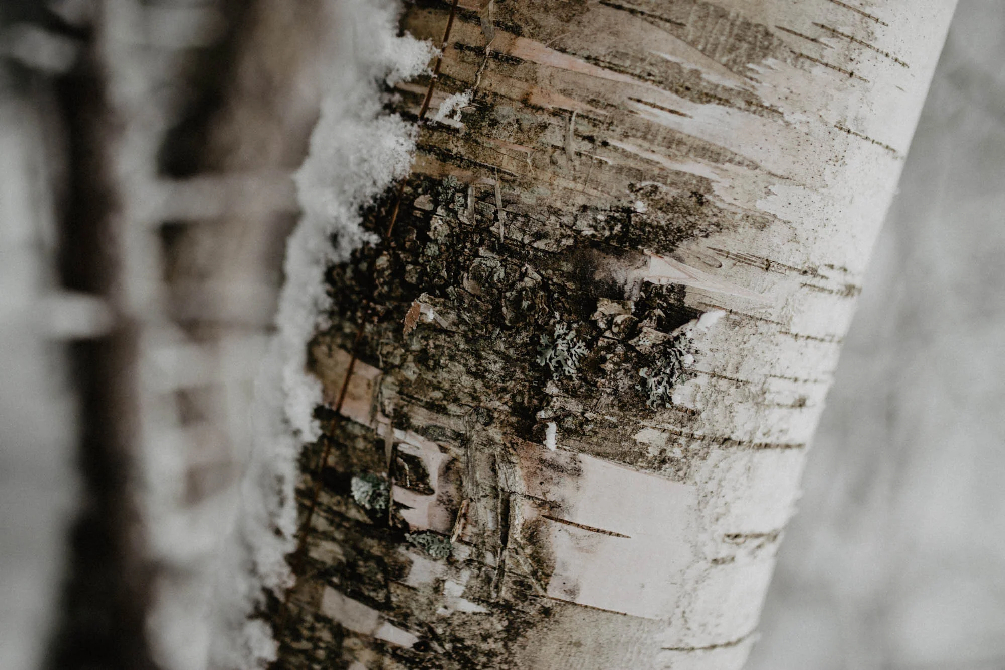 ashley_schulman_photography-winter_wedding_tampere-25.jpg