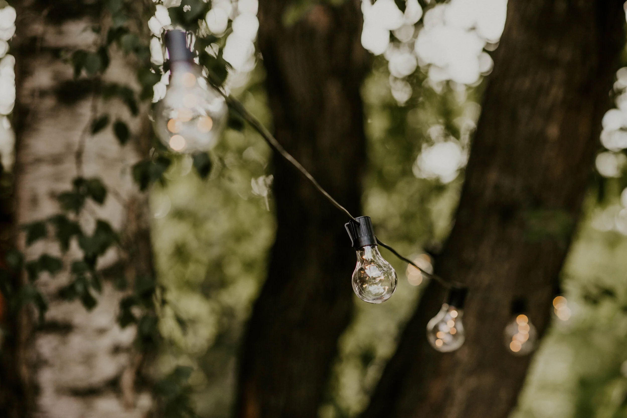dora&matias_reception-4.jpg