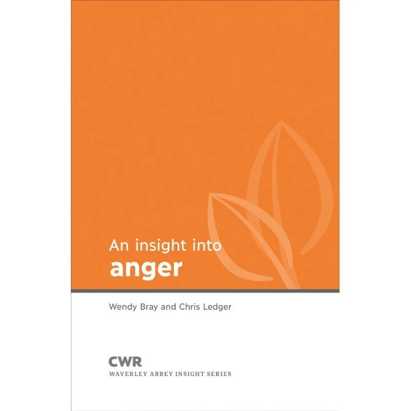 New Insights Anger-800x800.jpeg