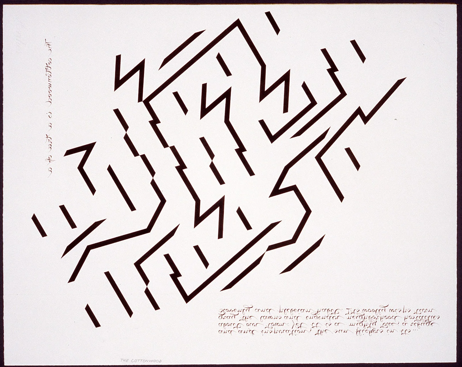 Guy de Cointet - The cottonwood is a tree of...jpg