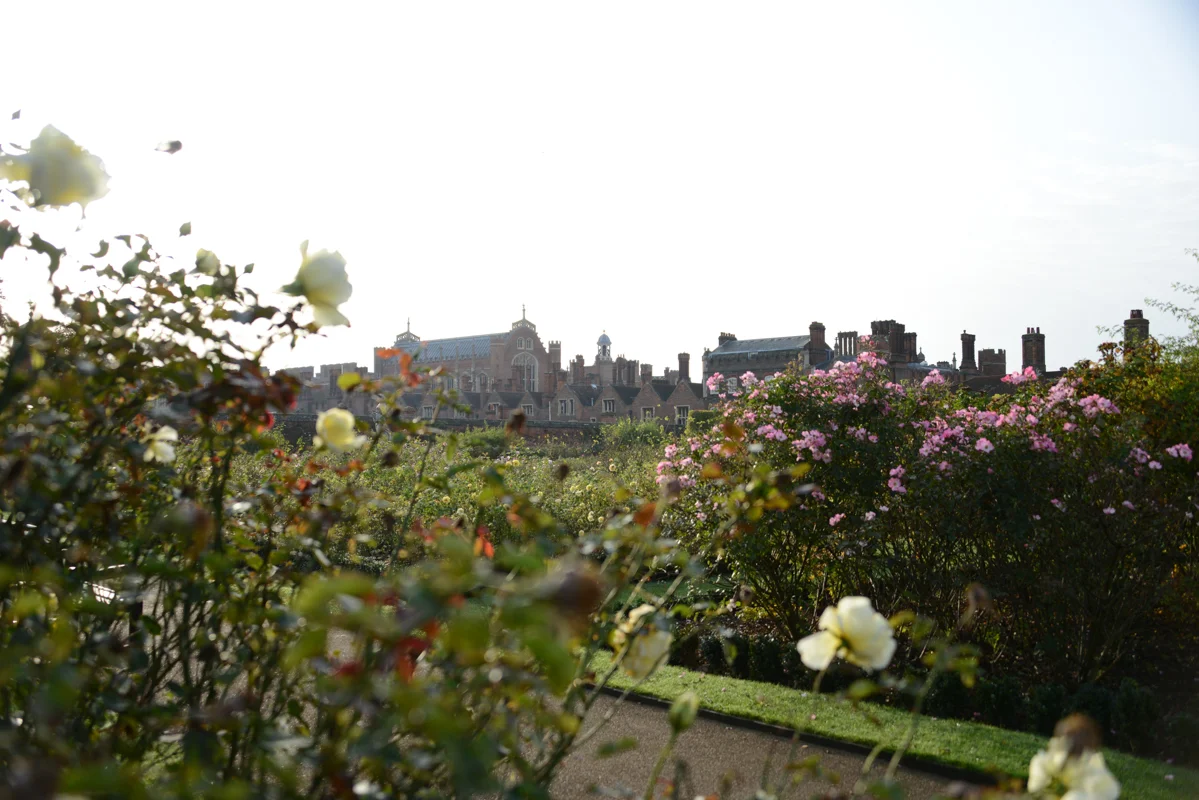 DSC_4101.jpg