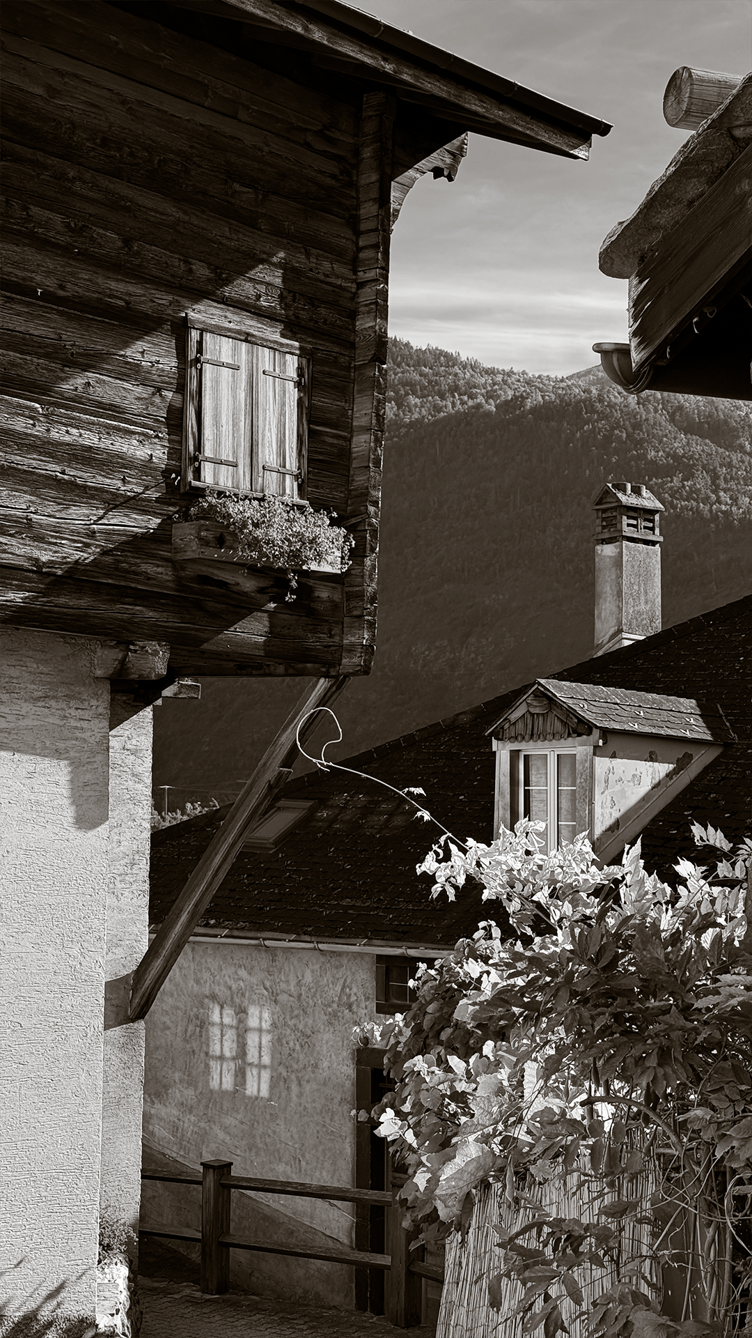 Walliser Hauskante.png