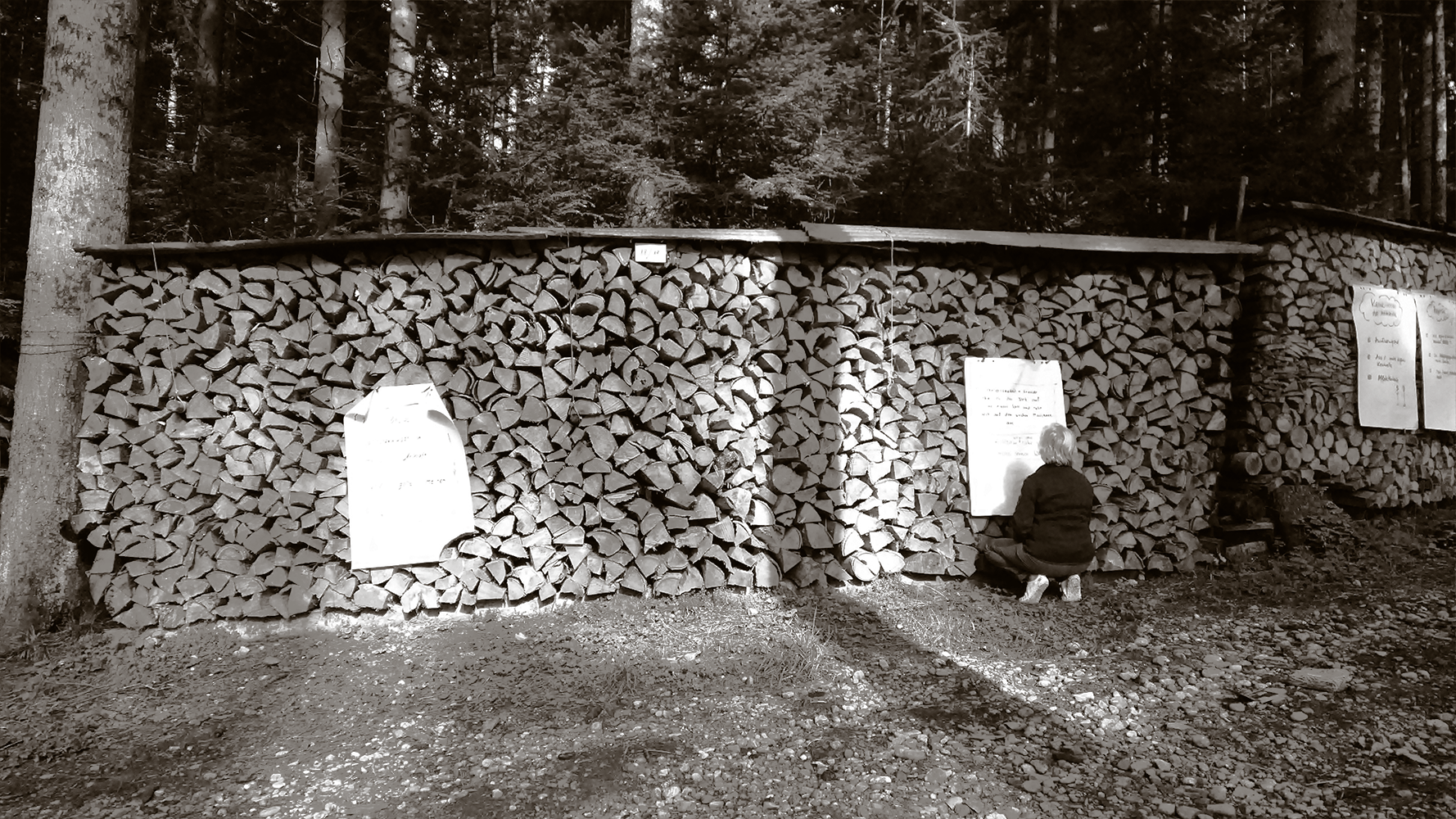 Möschberg Holzbeige.png