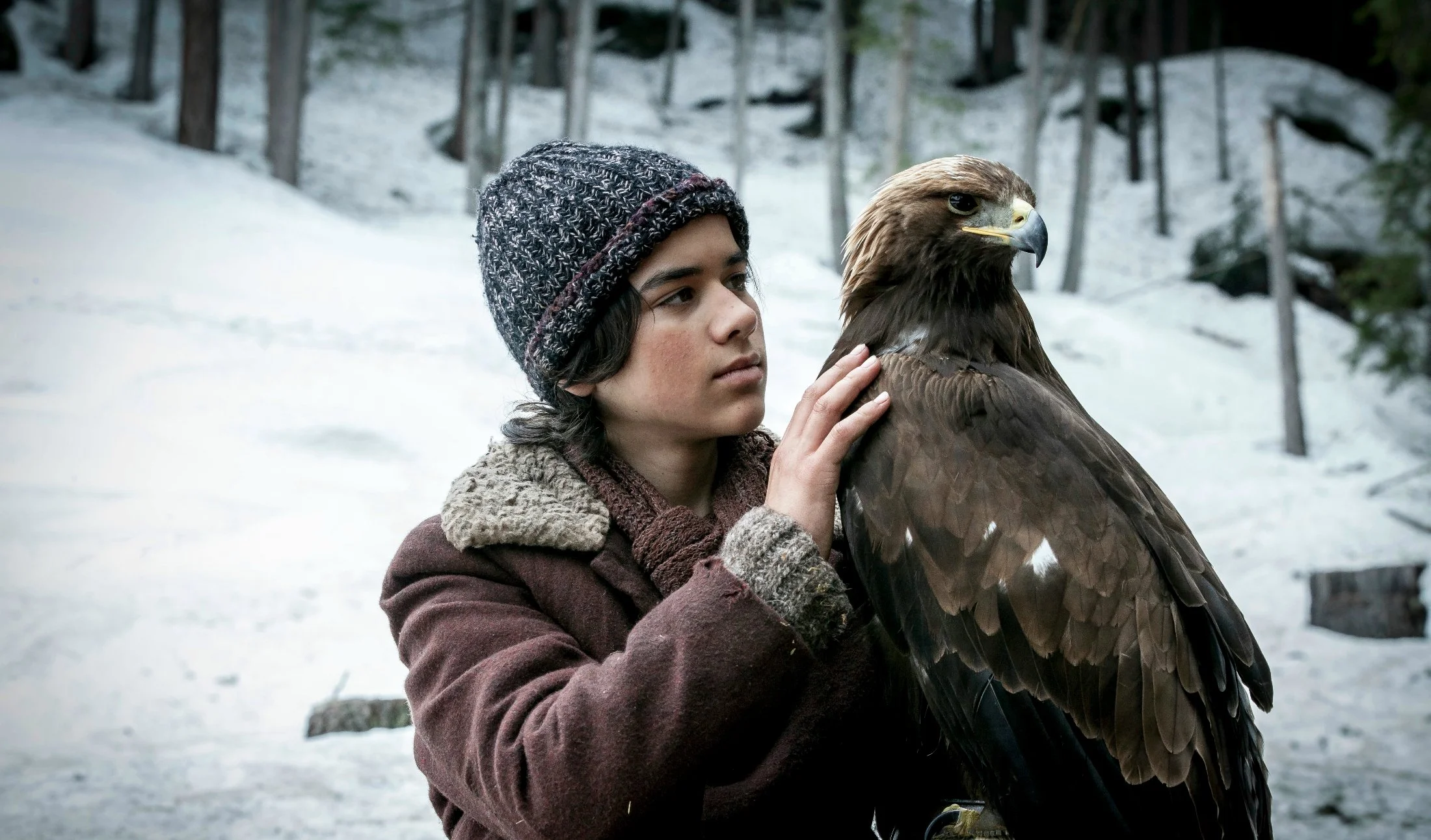 eagle_03.jpg