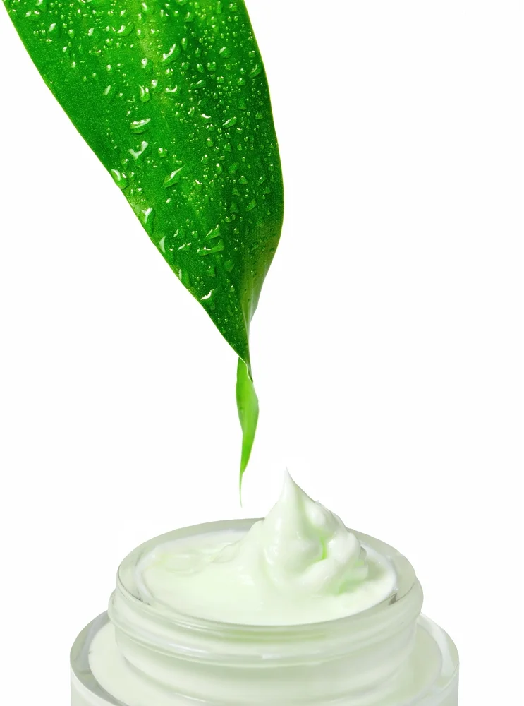 Pot de crème naturelle pour le visage en-dessous d’une plante verte
