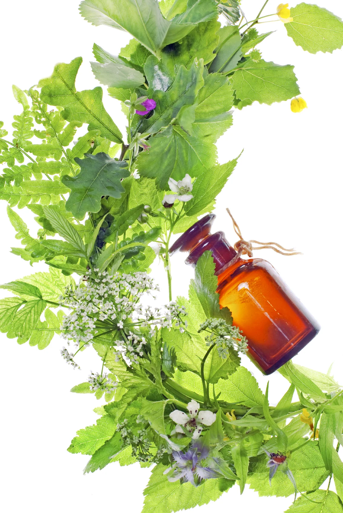 Flacon d’huiles essentielles en verre au milieu de diverses plantes vertes