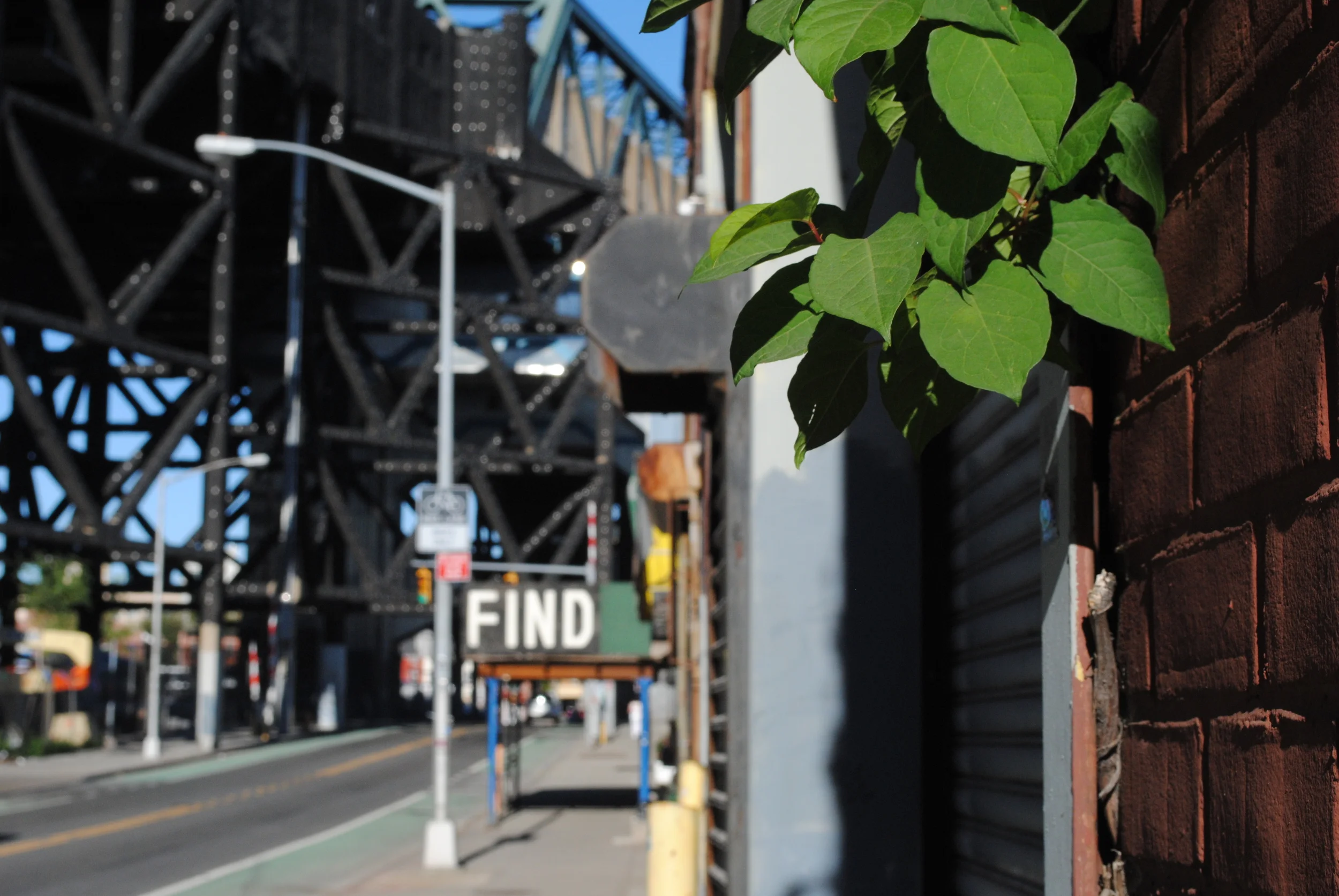 BUFFALO, NEW YORK.