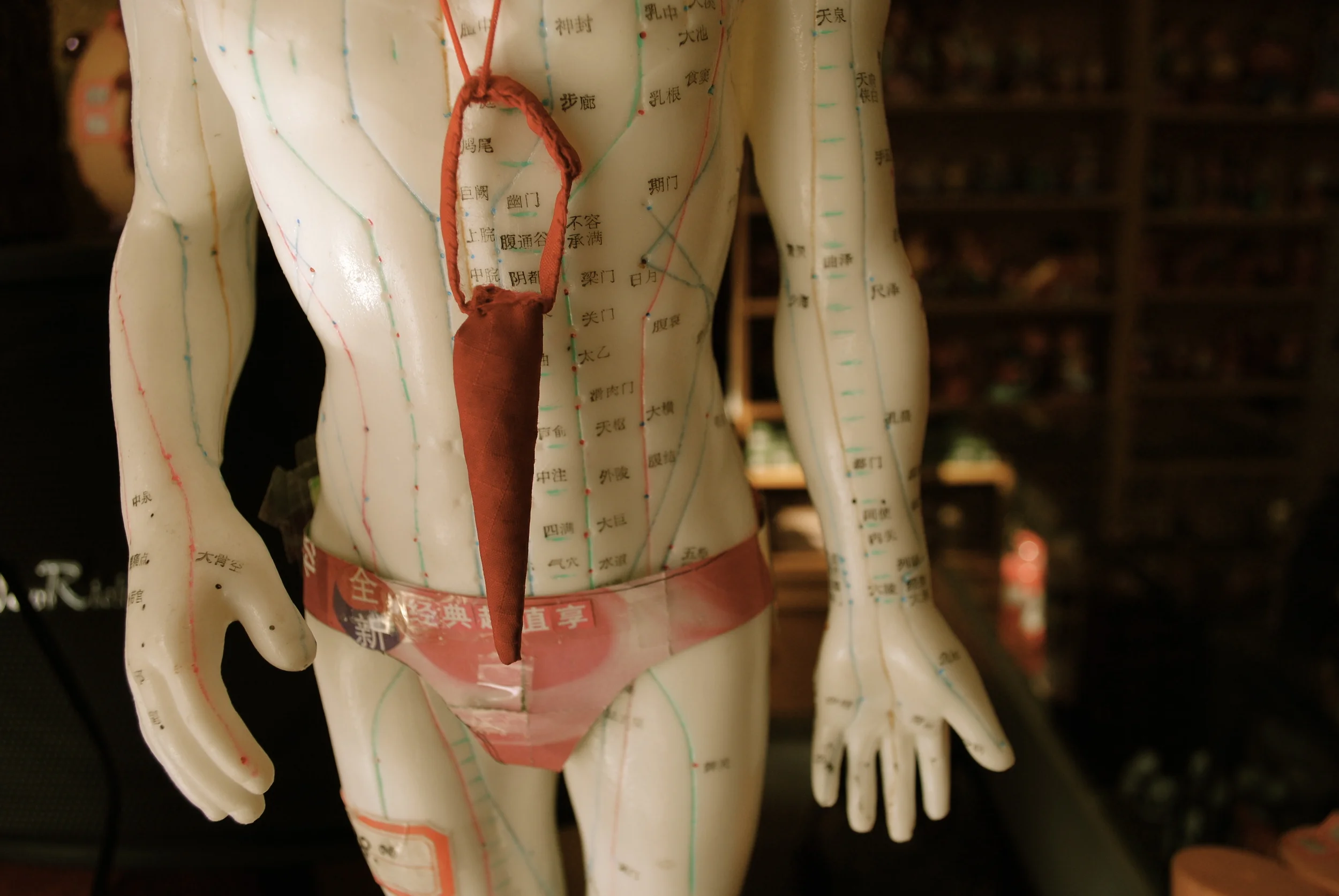 ANN ARBOR, MICHIGAN.