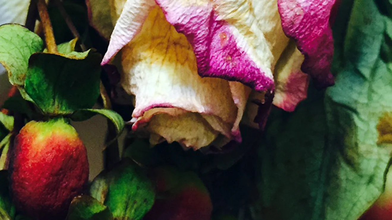 Header-05.jpg