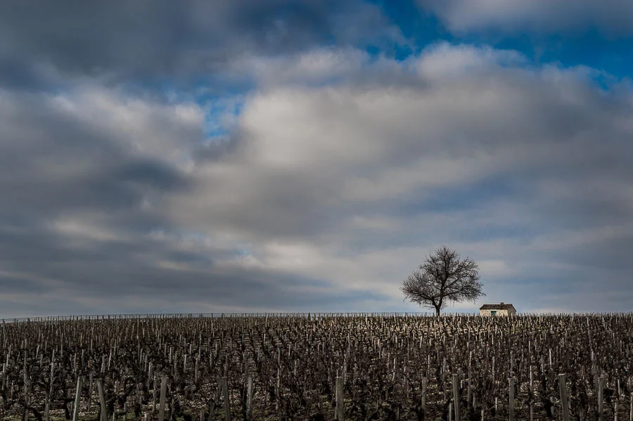 Bordeaux, France. © Andrew Clifforth