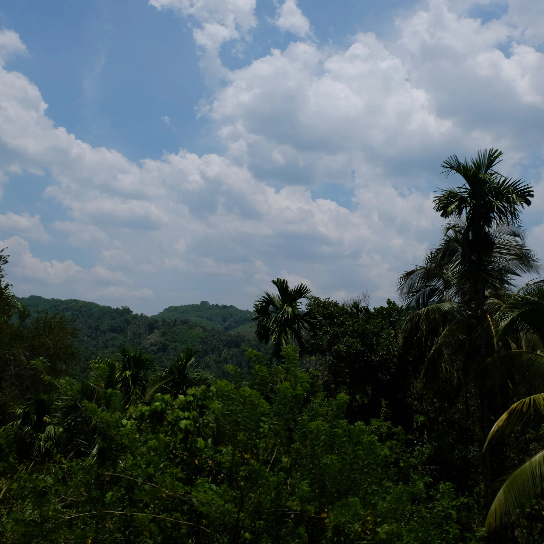 towards Kandy