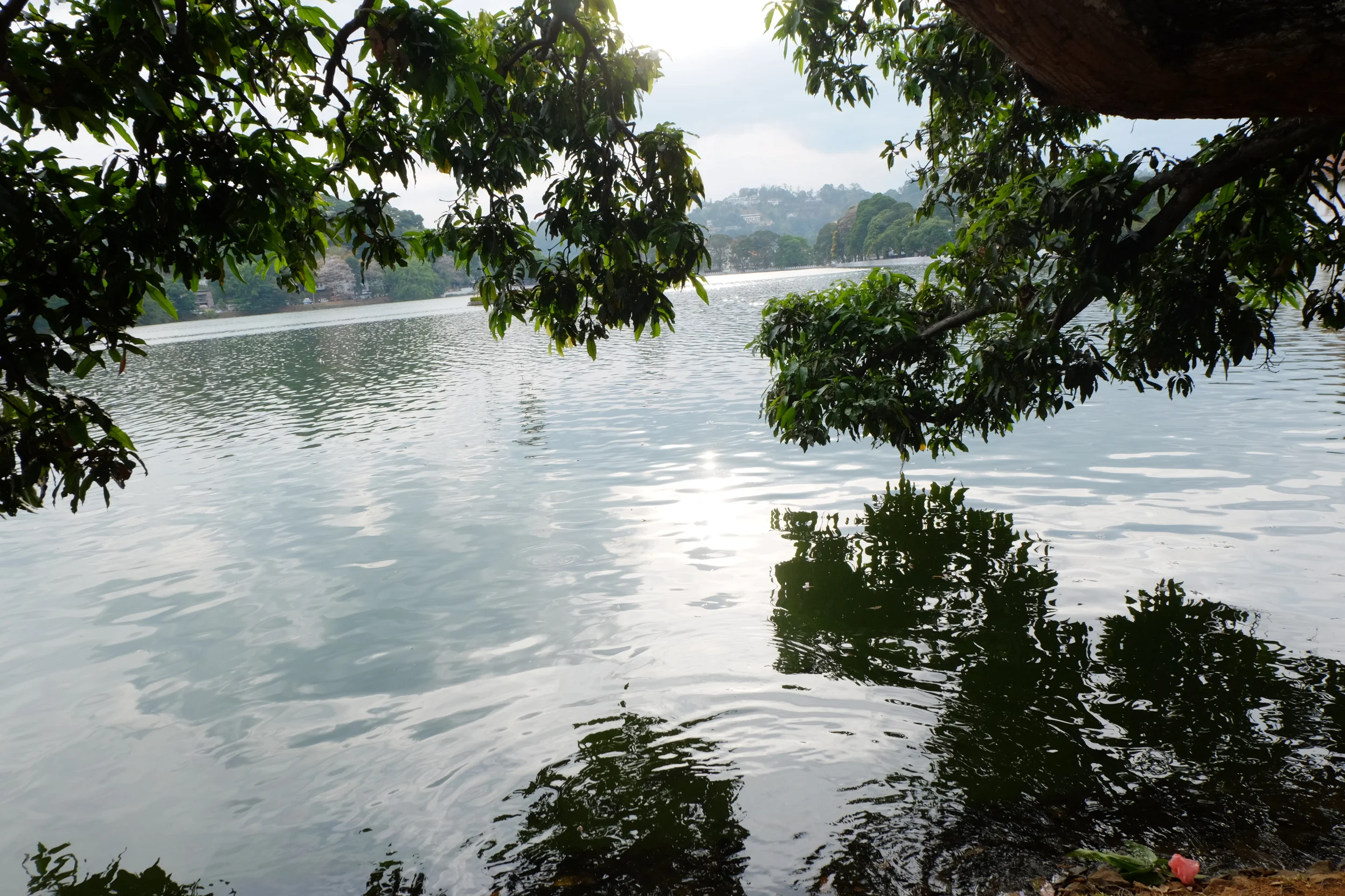 Kandy Lake 