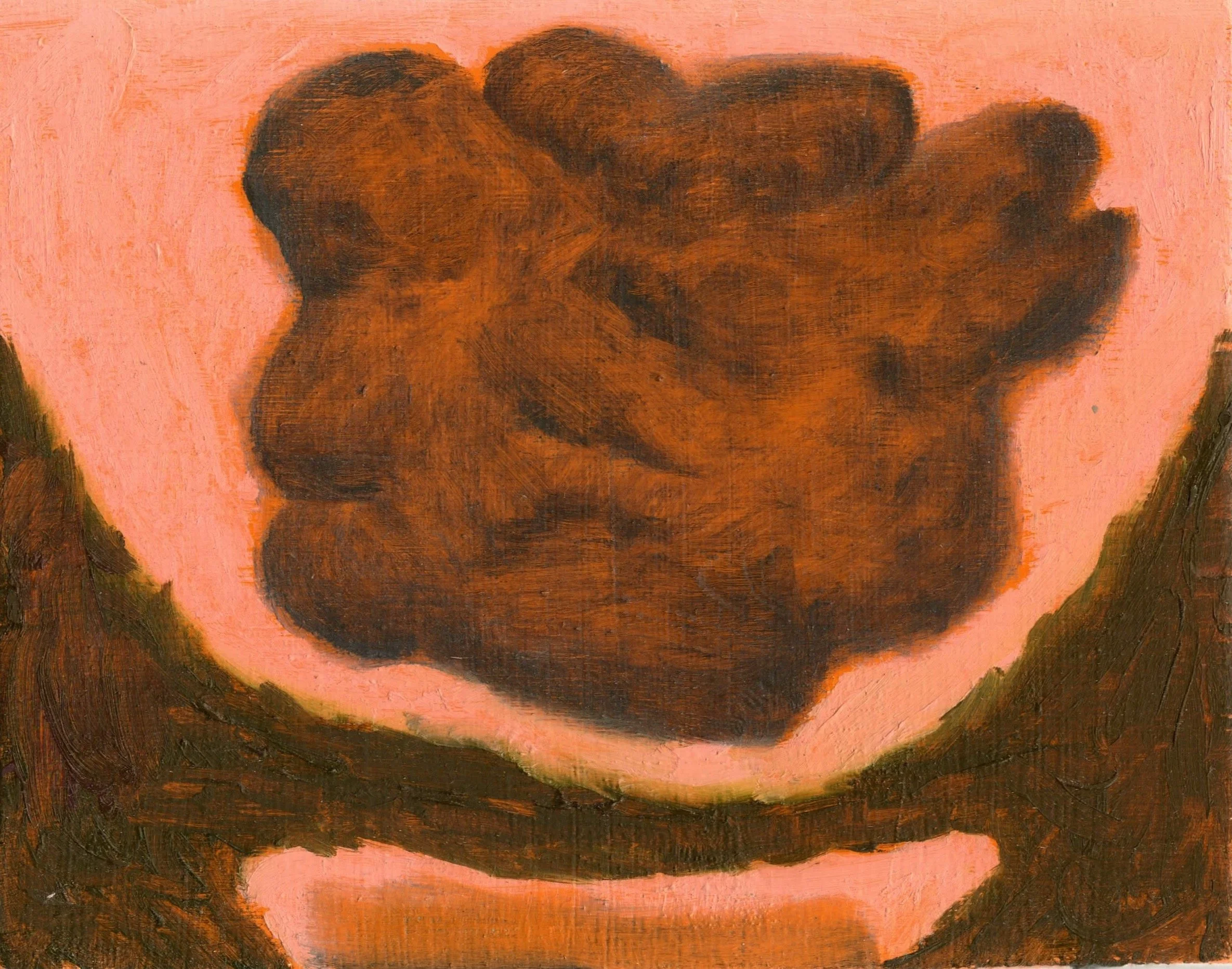 a cloud looking at itself