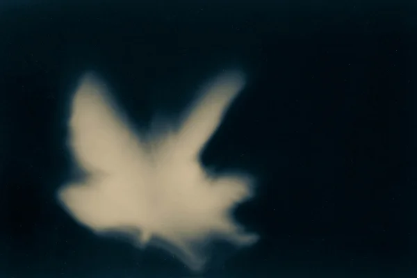leaf-2.jpg