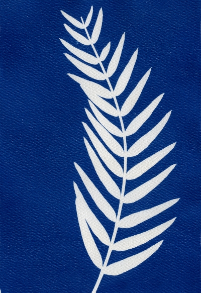leaves008.jpg