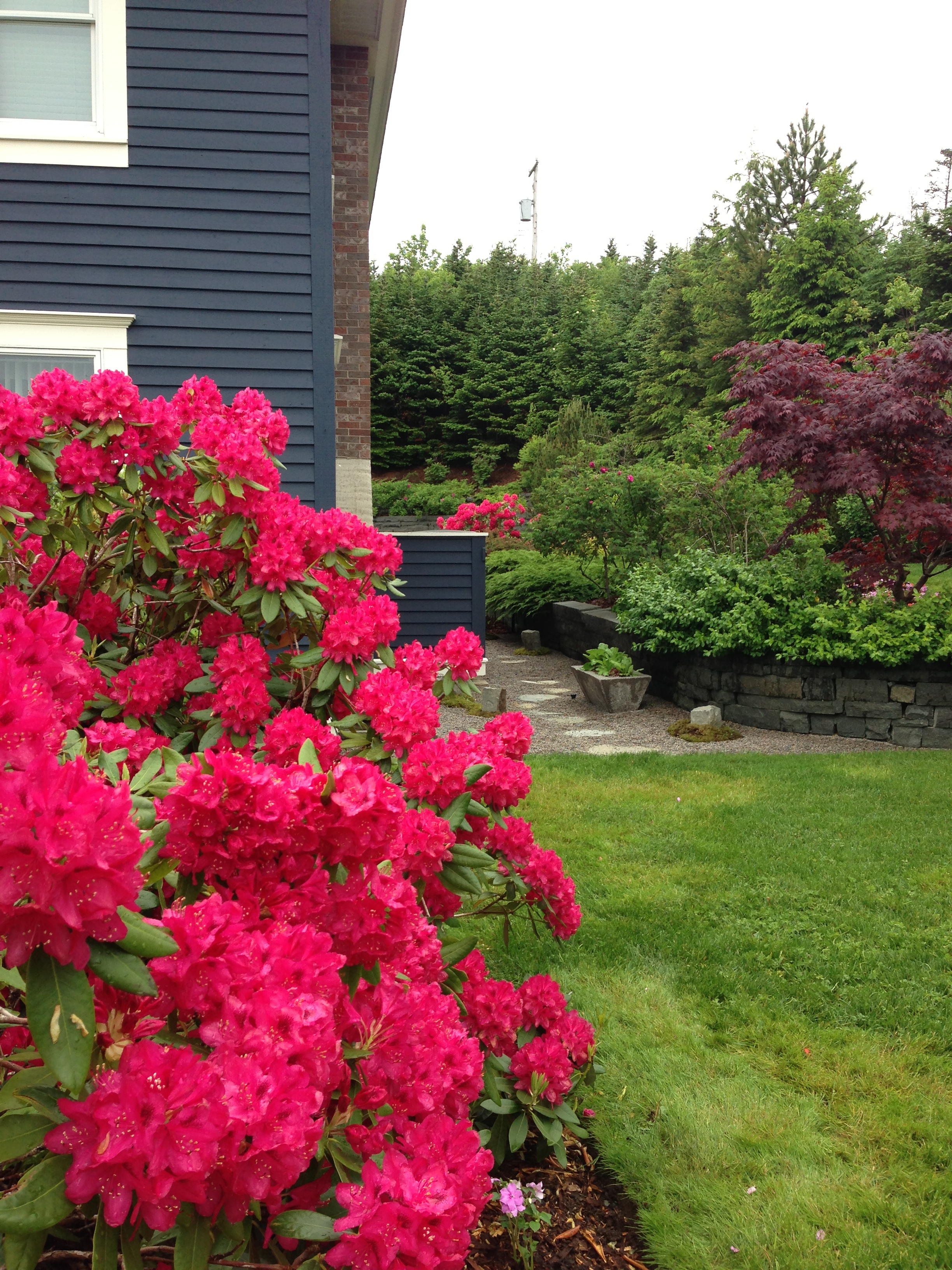Front Side Garden leading to Utility Area.jpg