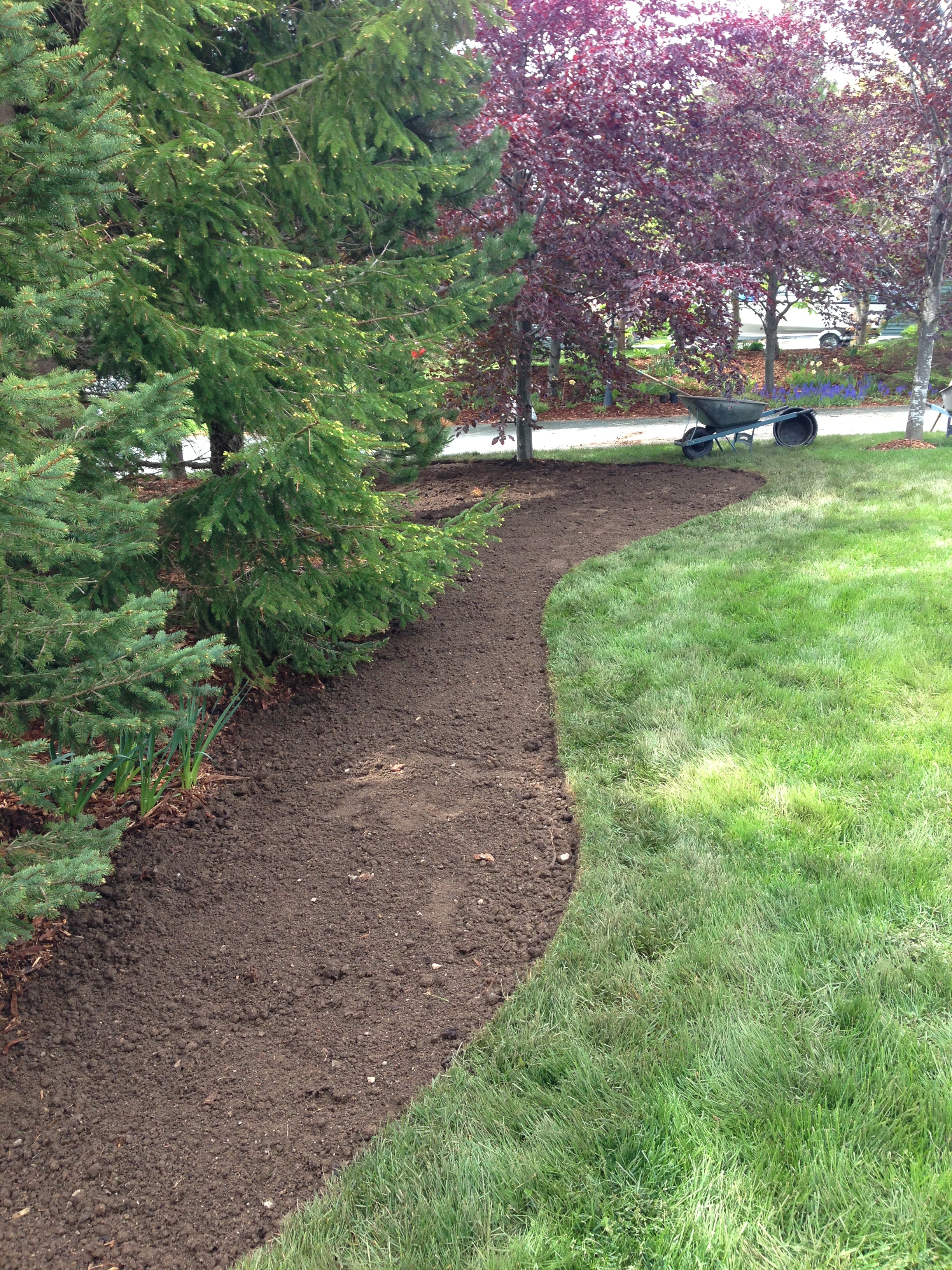 Creating a woodland bed with edging.jpg
