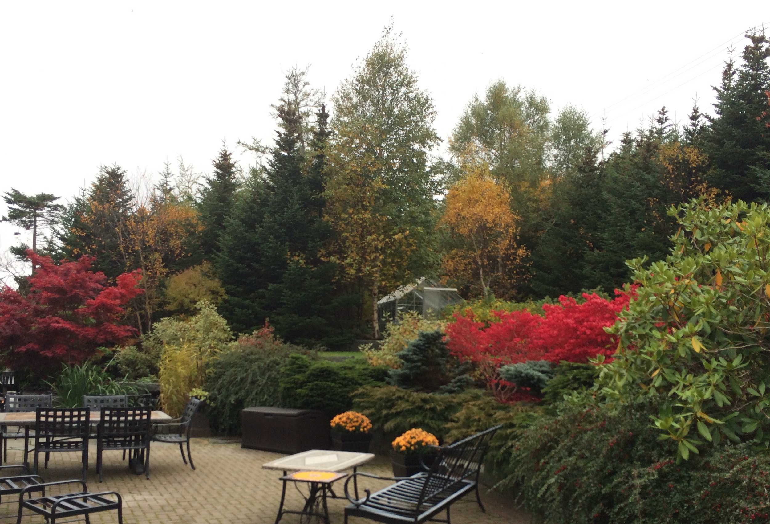 Rear Garden in Fall.jpg