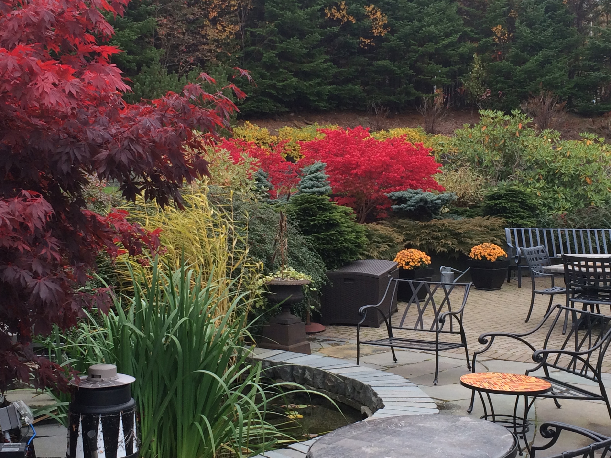 Rear Garden in the Fall.jpg