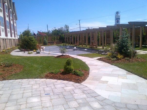 View from Pergola.jpg