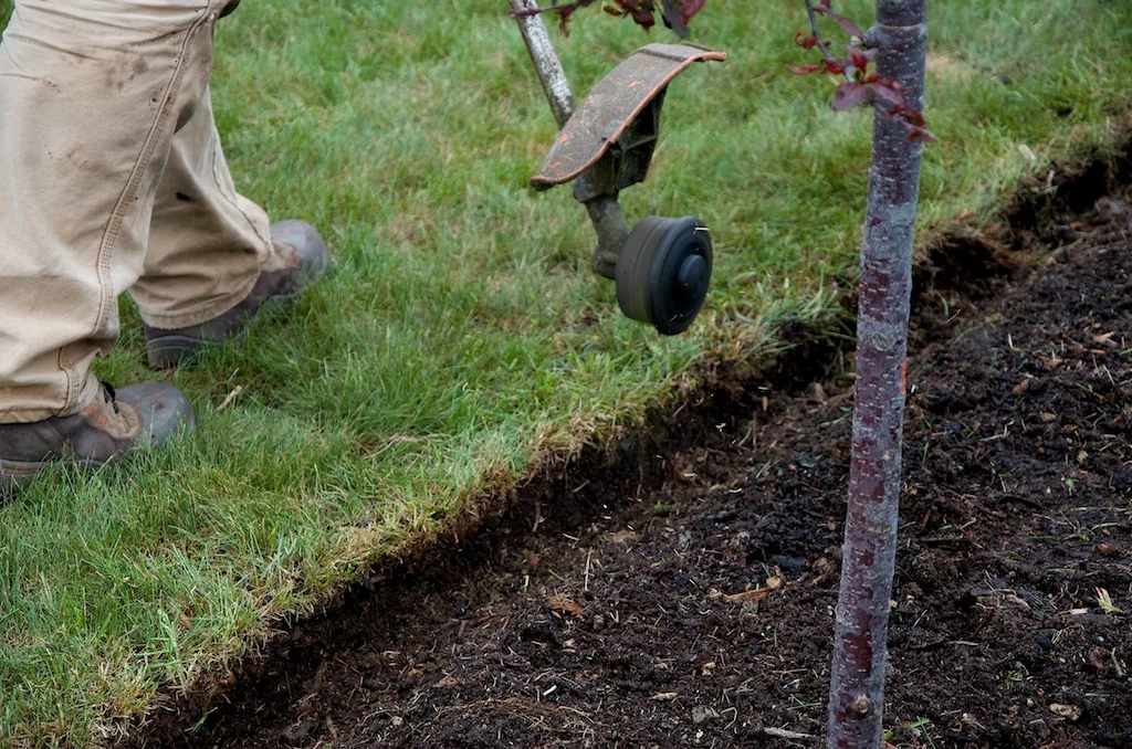 next we used the line trimmer to make a defined line around the bed
